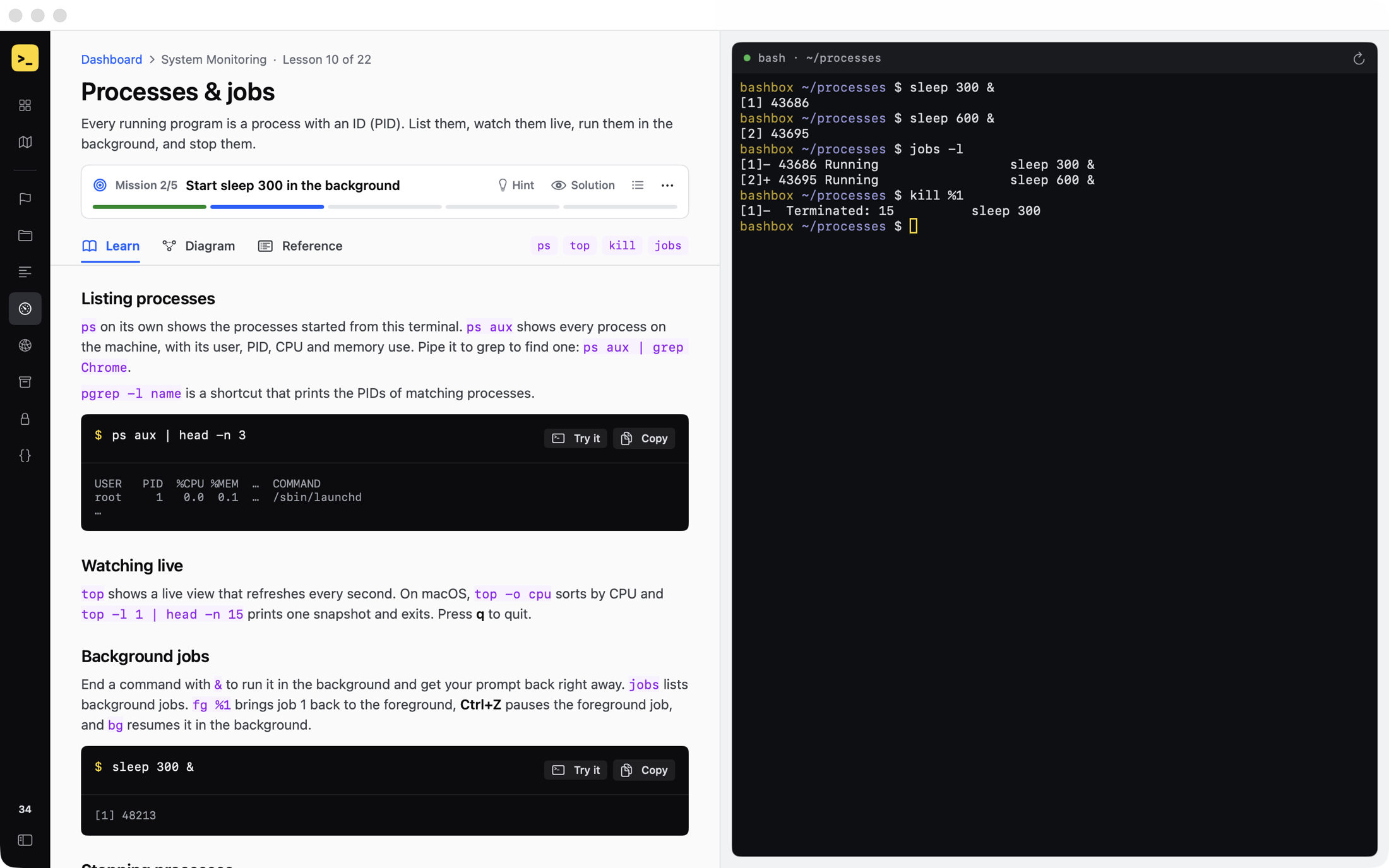 Processes & jobs lesson with the sidebar collapsed. The mission bar reads 'Mission 2/5: Start sleep 300 in the background', and the terminal shows background jobs being listed and killed.